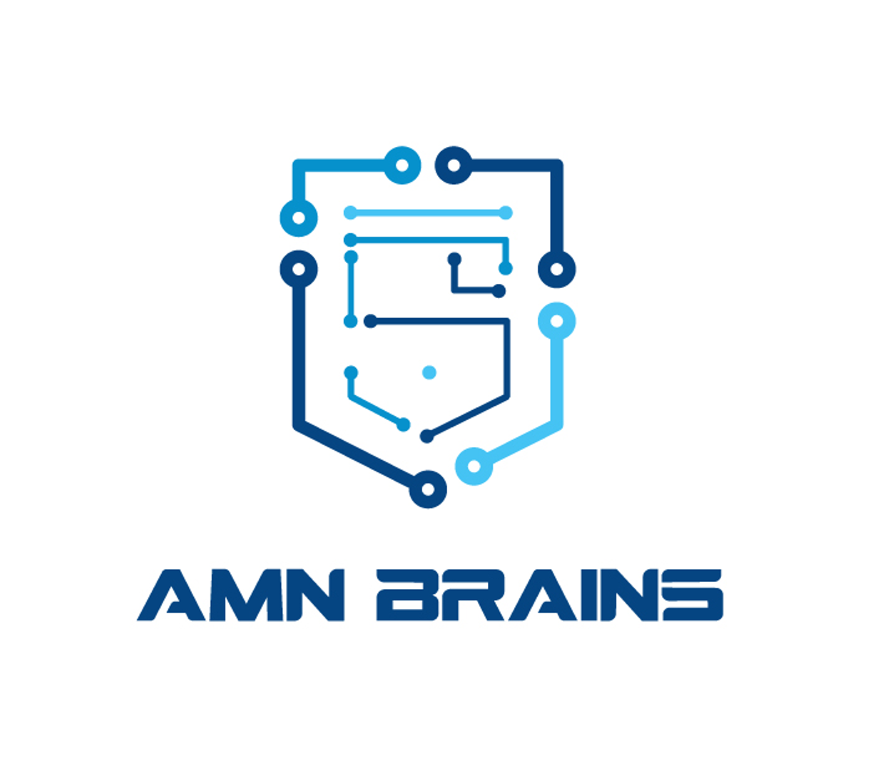 AMN Brains logo
