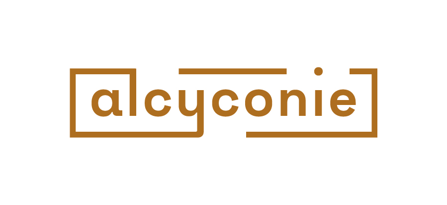 Alcyconie logo
