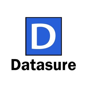 Datasure logo